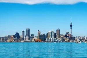 Best of Auckland: Private Walking Tour with a Local