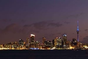 Best of Auckland: Private Walking Tour with a Local