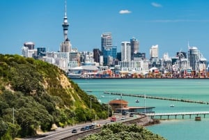 Best of Auckland: Private Walking Tour with a Local