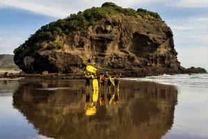 Bethells Boogie