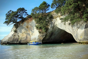 CATHEDRAL COVE & HOT WATER BEACH Dagstur fra Auckland