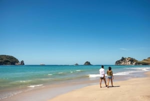 CATHEDRAL COVE & HOT WATER BEACH Dagstur fra Auckland