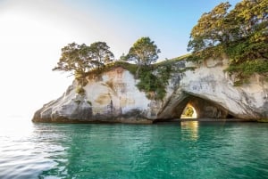 CATHEDRAL COVE & HOT WATER BEACH Dagstur fra Auckland