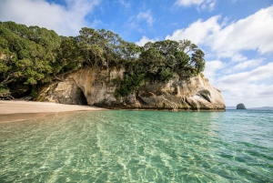 CATHEDRAL COVE & HOT WATER BEACH Dagstur fra Auckland