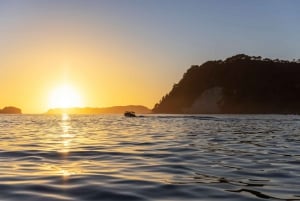 CATHEDRAL COVE & HOT WATER BEACH Dagstur fra Auckland