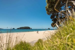 CATHEDRAL COVE & HOT WATER BEACH Dagstur fra Auckland