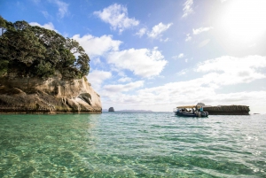 CATHEDRAL COVE & HOT WATER BEACH Dagstur fra Auckland