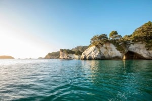 CATHEDRAL COVE & HOT WATER BEACH Dagstur fra Auckland