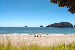 CATHEDRAL COVE & HOT WATER BEACH Dagstur fra Auckland