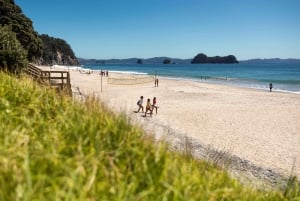 CATHEDRAL COVE & HOT WATER BEACH Dagstur fra Auckland