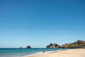 CATHEDRAL COVE & HOT WATER BEACH Dagstur fra Auckland