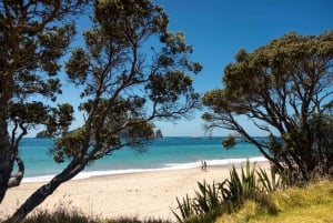 CATHEDRAL COVE & HOT WATER BEACH Dagstur fra Auckland