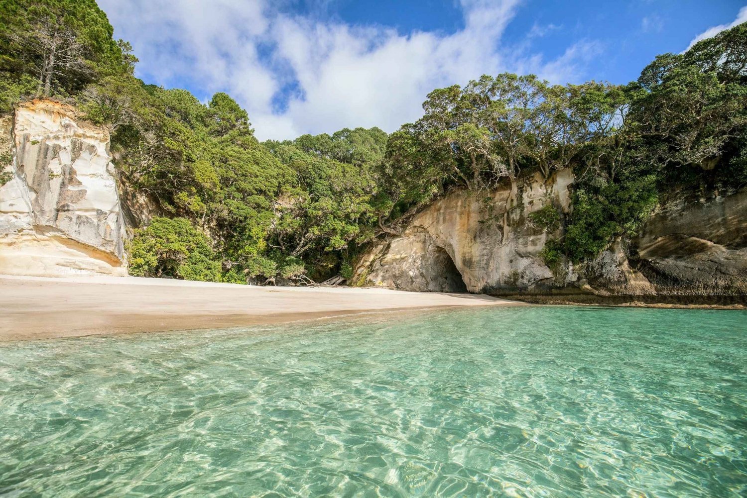 CATHEDRAL COVE & DRIVING CREEK -PRIVATE DAY TOUR Ex Auckland