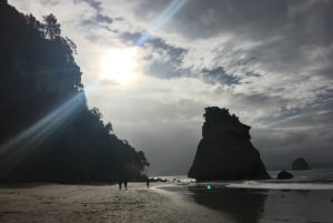 Tour di un giorno a Coromandel