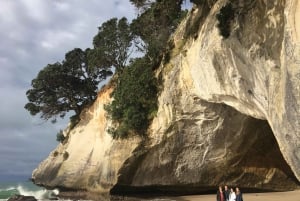 Excursión de un día a Coromandel