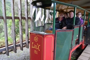 Tour di un giorno a Coromandel