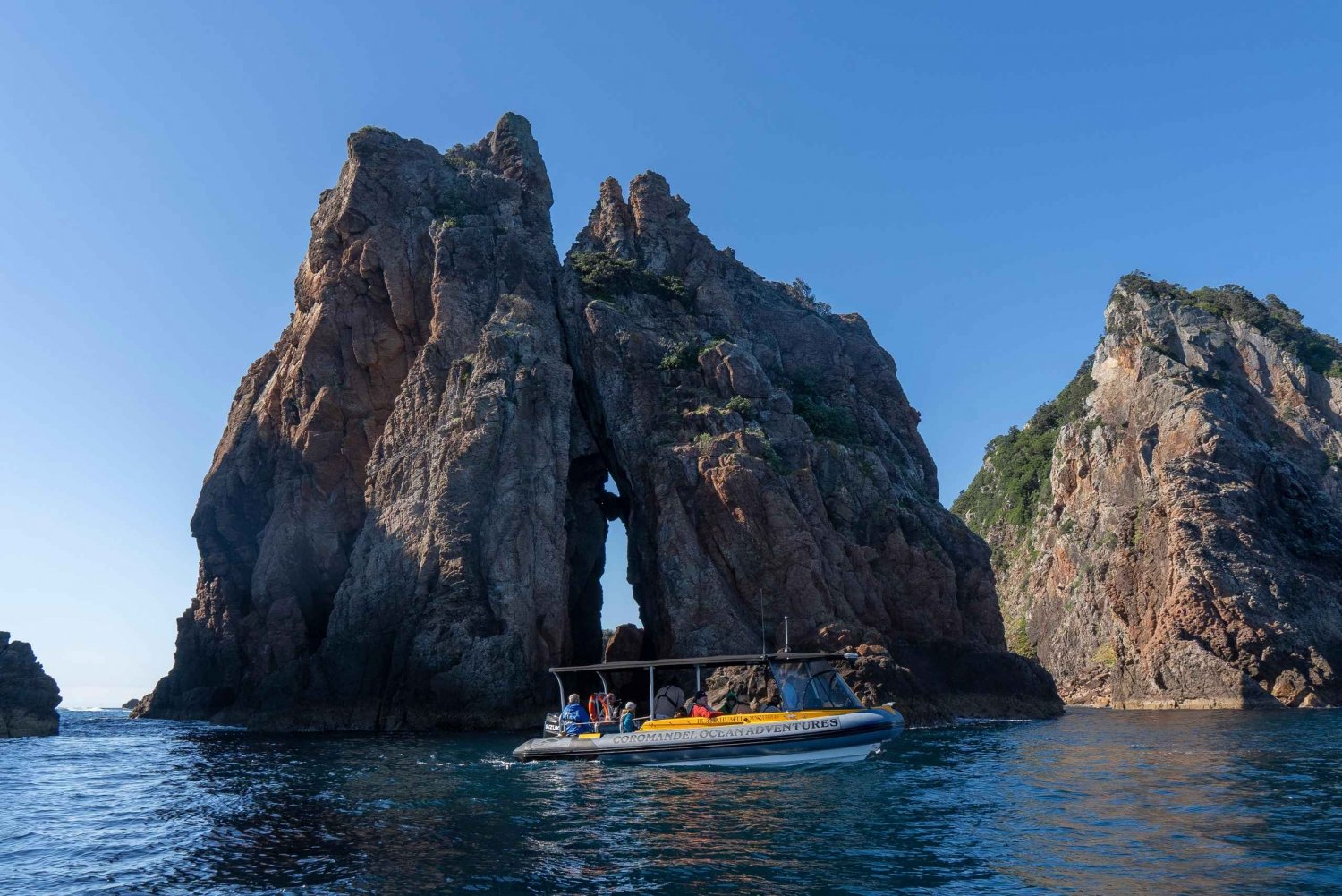 Au départ d'Auckland : Excursion d'une journée dans les îles Aldermen (Ruamaahu)