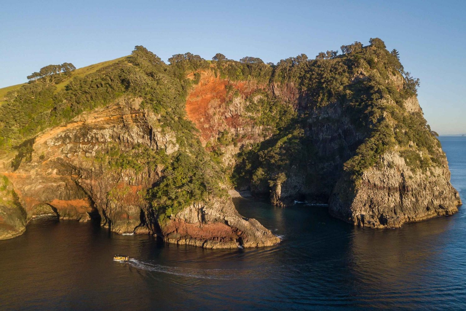 Fra Auckland: Heldagstur til Aldermen Islands (Ruamaahu)