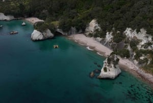 Au départ d'Auckland : Excursion d'une journée dans les îles Aldermen (Ruamaahu)