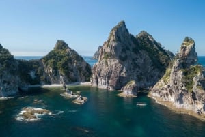 Au départ d'Auckland : Excursion d'une journée dans les îles Aldermen (Ruamaahu)