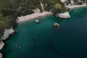 Au départ d'Auckland : Excursion d'une journée dans les îles Aldermen (Ruamaahu)