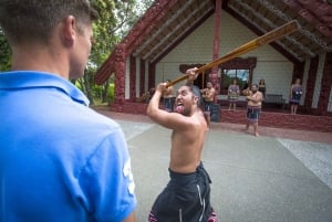 Da Auckland: Tour e crociera di 2 giorni nella Baia delle Isole