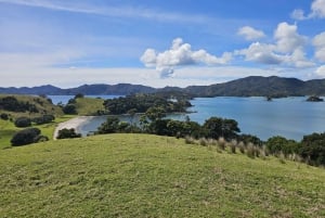 Da Auckland: Tour e crociera di 2 giorni nella Baia delle Isole