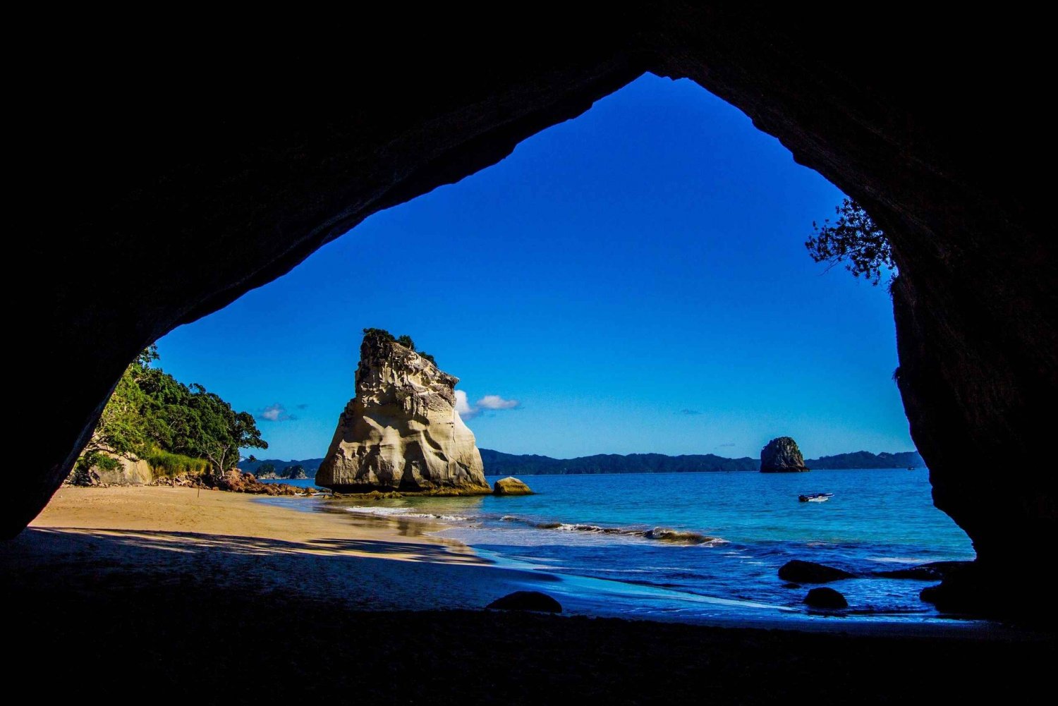 Z Auckland: Cathedral Cove i wycieczka na plażę z gorącą wodą