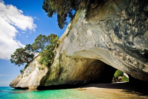 Fra Auckland: Utflukt til Cathedral Cove og varmtvannsstranden