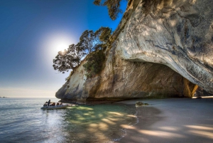 From Auckland: Cathedral Cove & Hot Water Beach Tour