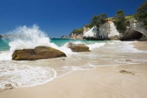 From Auckland: Cathedral Cove & Hot Water Beach Tour