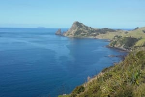 Fra Auckland: Utflukt til Cathedral Cove og varmtvannsstranden