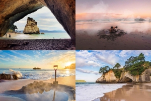 From Auckland: Cathedral Cove & Hot Water Beach Tour