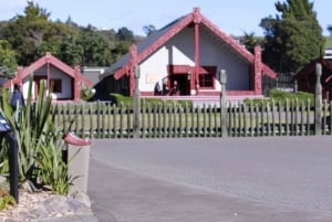 From Auckland: Day Trip to Rotorua with Optional extras