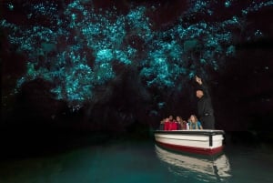 Da Auckland: Escursione di un giorno alle grotte dei vermi luminosi di Waitomo