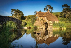 Von Auckland aus: Exklusive private Tour durch Hobbiton