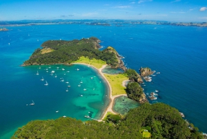 Desde Auckland Tour privado de un día completo a la Bahía de las Islas