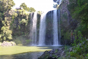 Z Auckland: Całodniowa prywatna wycieczka do Bay of Islands