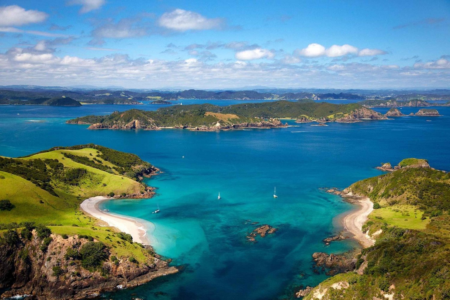 Von Auckland aus: Ganztagestour zur Bay of Islands