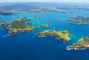 Da Auckland: Tour di un giorno intero nella Baia delle Isole