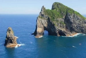 Au départ d'Auckland : Visite d'une jounée à la Bay of Islands