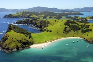 Au départ d'Auckland : Visite d'une jounée à la Bay of Islands