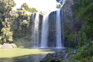 Da Auckland: Tour di un giorno intero nella Baia delle Isole