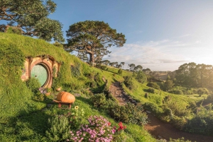 Fra Auckland: Hobbiton og Rotorua Māori Village med Hangi-lunsj