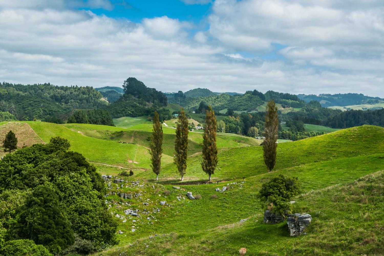 Auckland/Rotorua: Hobbiton and 怀托 Day Tour with Lunch