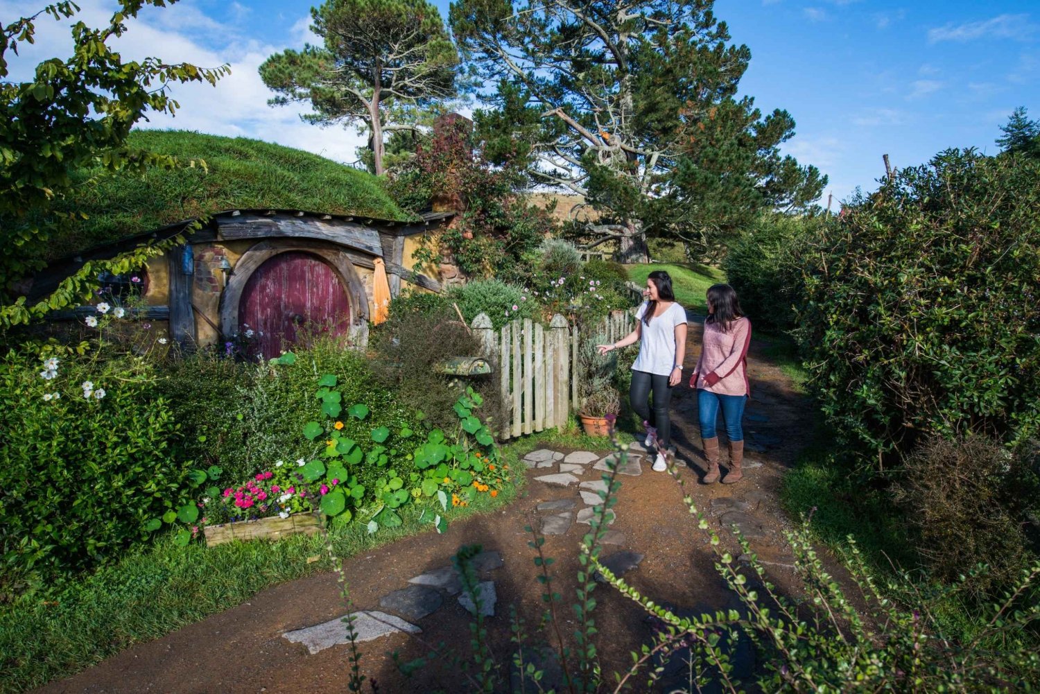 从 Auckland: Hobbiton Movie Set Half-Day Trip with Tour