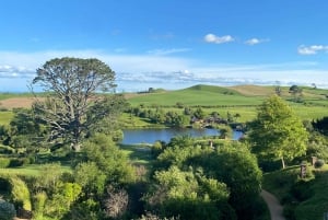 Fra Auckland: Hobbiton Movie Set og Waitomo Caves Tour