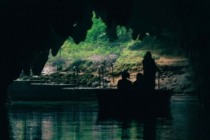 Von Auckland aus: Hobbiton Filmset und Waitomo Caves Tour