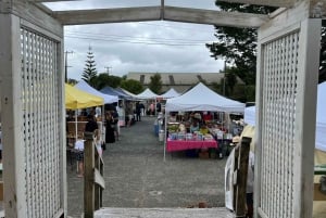 De Auckland: MERCADO DA VILA DE MATAKANA E PASSEIO DE VINHO/ESCULTURA