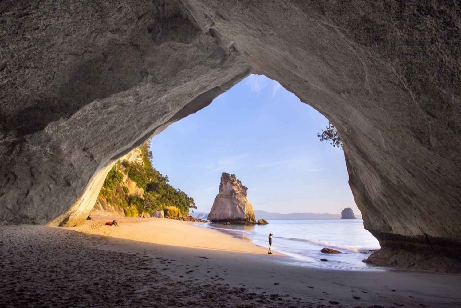 Z Auckland: Prywatna wycieczka do Cathedral Cove i Coromandel